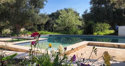 Beautiful Trullo Private Pool Sauna Large rooms Convenient location