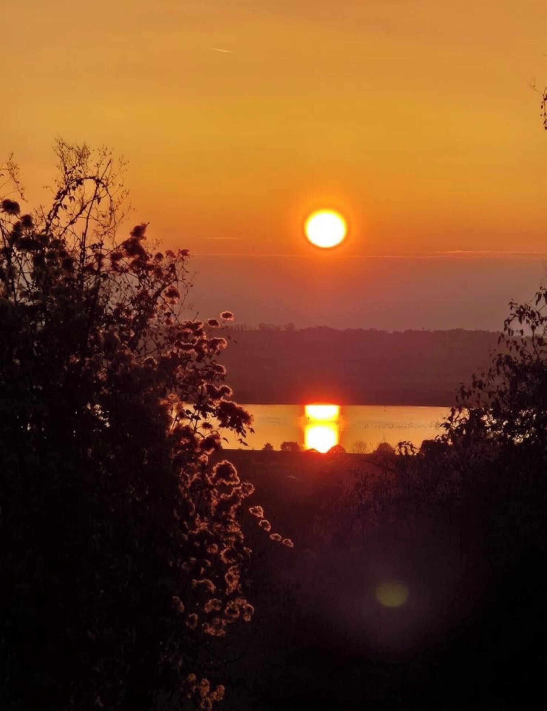 Ein Sonnenuntergang über einem Gewässer, im Vordergrund Silhouette von Bäumen.