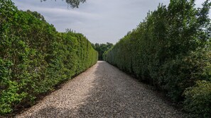 Property grounds - Southampton Village Traditional (Southampton)