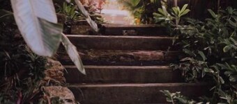 King Room with Pool View