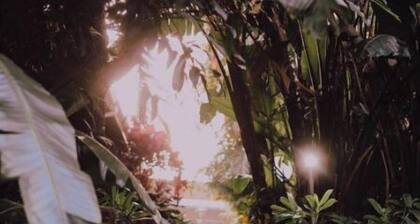 King Room with Pool View