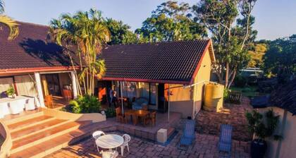 King Room with Pool View