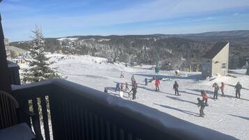 Sneeuw- en skisporten