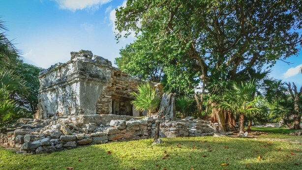 Property grounds - Relaxing 5BR Villa Playcar! Infinity Pool!! A/c!! (Playa del Carmen)