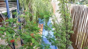 Property grounds - Great 2BR Condo Near Beach With Private Plunge Pool ! Best Deal!! (Playa del Carmen)