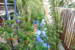 Property grounds - Great 2BR Condo Near Beach With Private Plunge Pool ! Best Deal!! (Playa del Carmen)