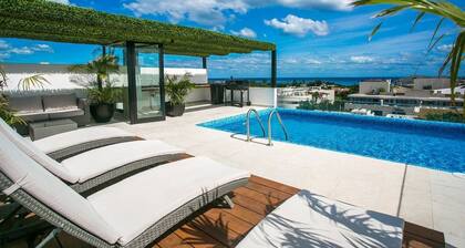 Two Modern Condos! 5br! Penthouse!center of Playa!