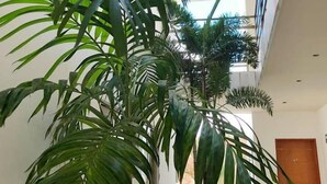 Interior - 1-br Condo in Playa del Carmen's Sweet Spot (Playa del Carmen)