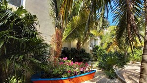 Property grounds - Romantic Condo Best Retreat for a Couple 1 Block From the Beach Progreso East (Progreso)