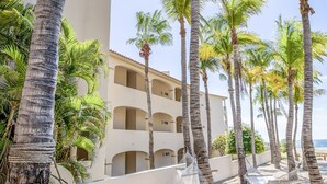 Property grounds - True Beachfront/poolside 3-bedroom Condo! Best Location! Minutes TO Downtown SAN Jose! (San José del Cabo)