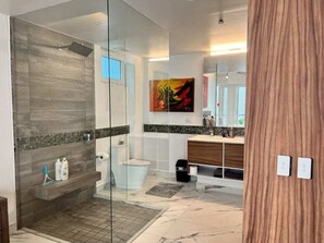 Rainfall showerhead - Super Studio! Amazing Avida! King Bed 1 Bath (Puerto Vallarta)