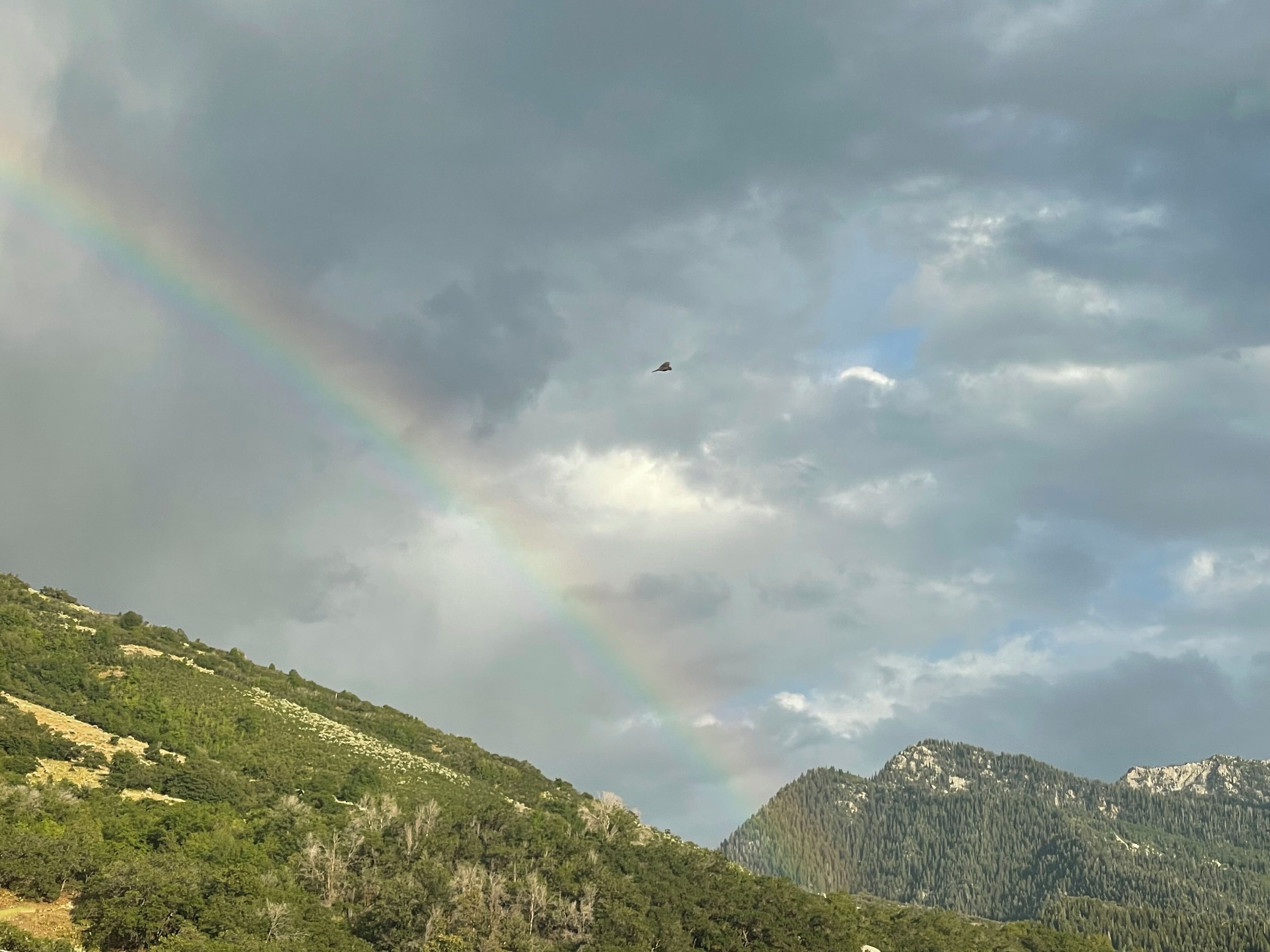 Un paysage de montagne avec un arc-en-ciel et un avion dans le ciel.