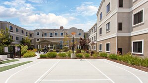 A basketball court with a hoop in the center, surrounded by a landscaped area with plants and a building in the background. - King Suite | Free Wi-Fi + Breakfast, Pool, Gym. (Lake Forest)