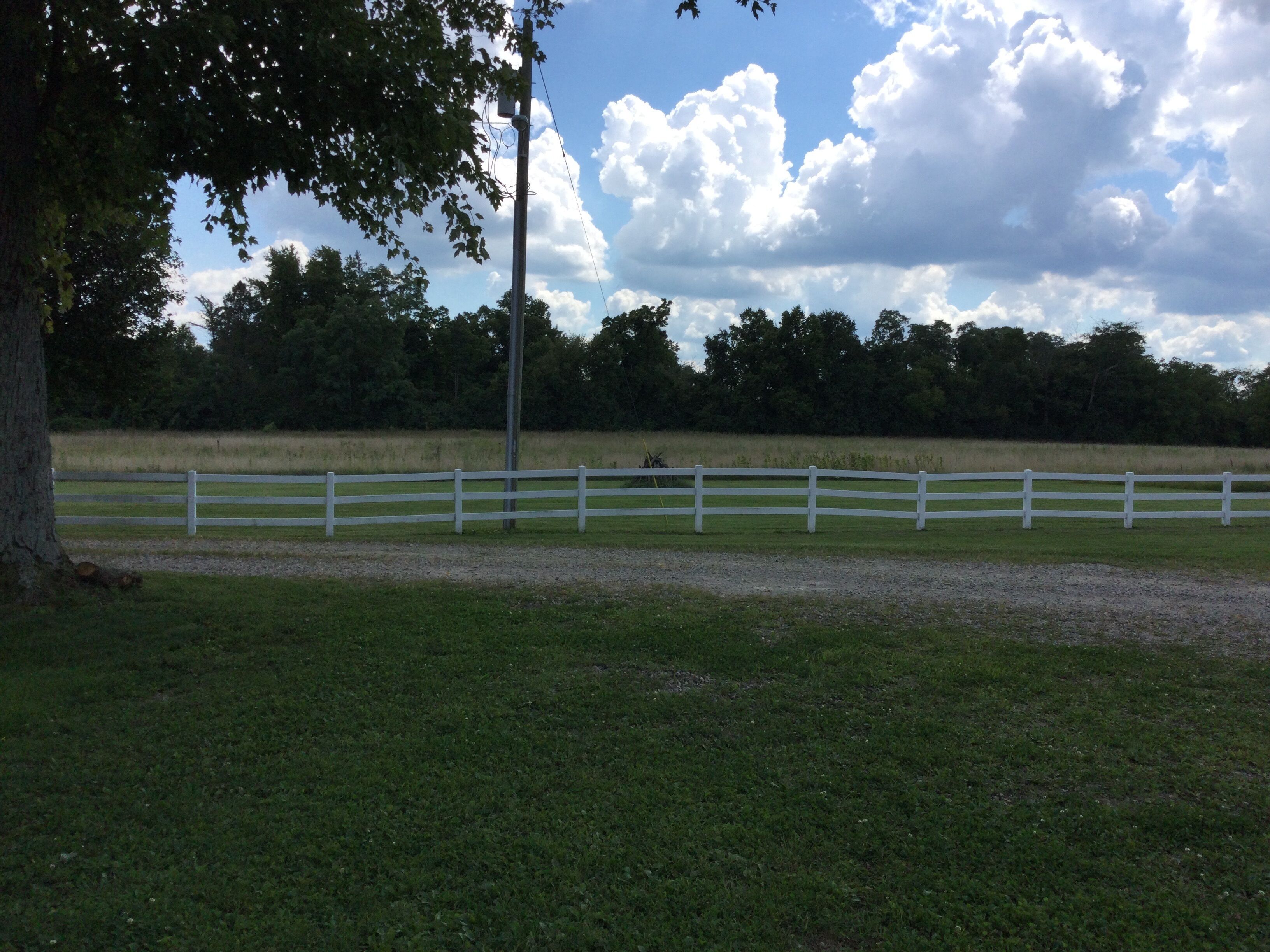 A fenced field with a tree and a utility pole.
