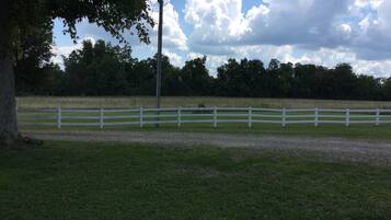 A fenced field with a tree and a utility pole.