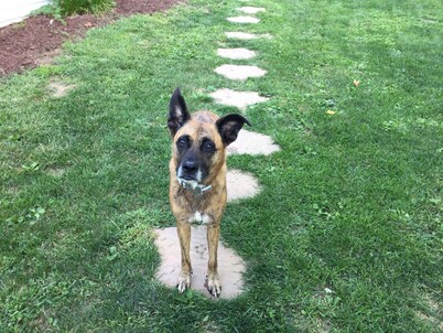 Close to Oxford and Miami U. Pet friendly-limit 2. Country setting.