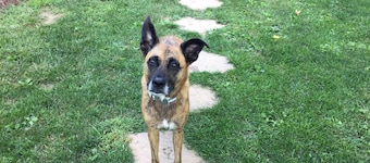 Close to Oxford and Miami U. Pet friendly, and away from college shenanigans