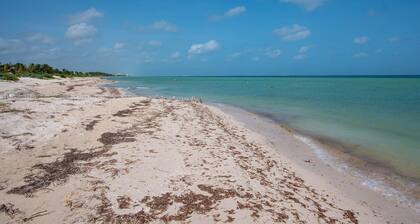 New Modern Villa, Private Pool, 2 Blocks From the Beach, Sleeps 6!!!