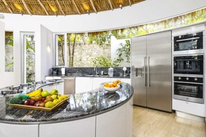 Microwave, oven, stovetop, dishwasher - Luxe 4BR Architect Villa! Exclusive Lagoon Access! Private Pool!! (Akumal)