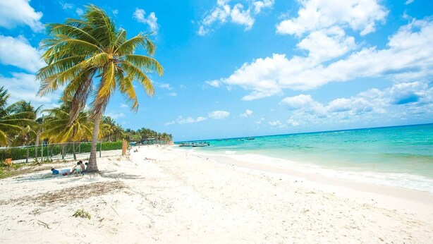 Beach - Modern 1BR Dream Unit in Playacar-2+pool+ac+wifi! (Playa del Carmen)