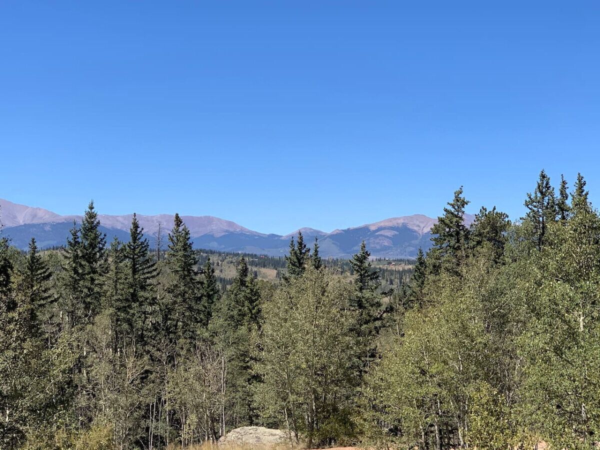 Ett skogslandskap med berg i bakgrunden.