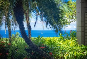 Property grounds - Ridge 2412- Ocean Views & Expansive Lawn Retreat (Lahaina)