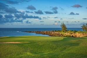 Golf - Ridge 2412- Ocean Views & Expansive Lawn Retreat (Lahaina)