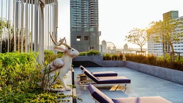 Rooftop terrace
