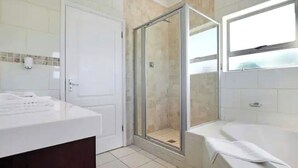 A modern bathroom with a shower enclosure, a bathtub, and a vanity with a mirror.