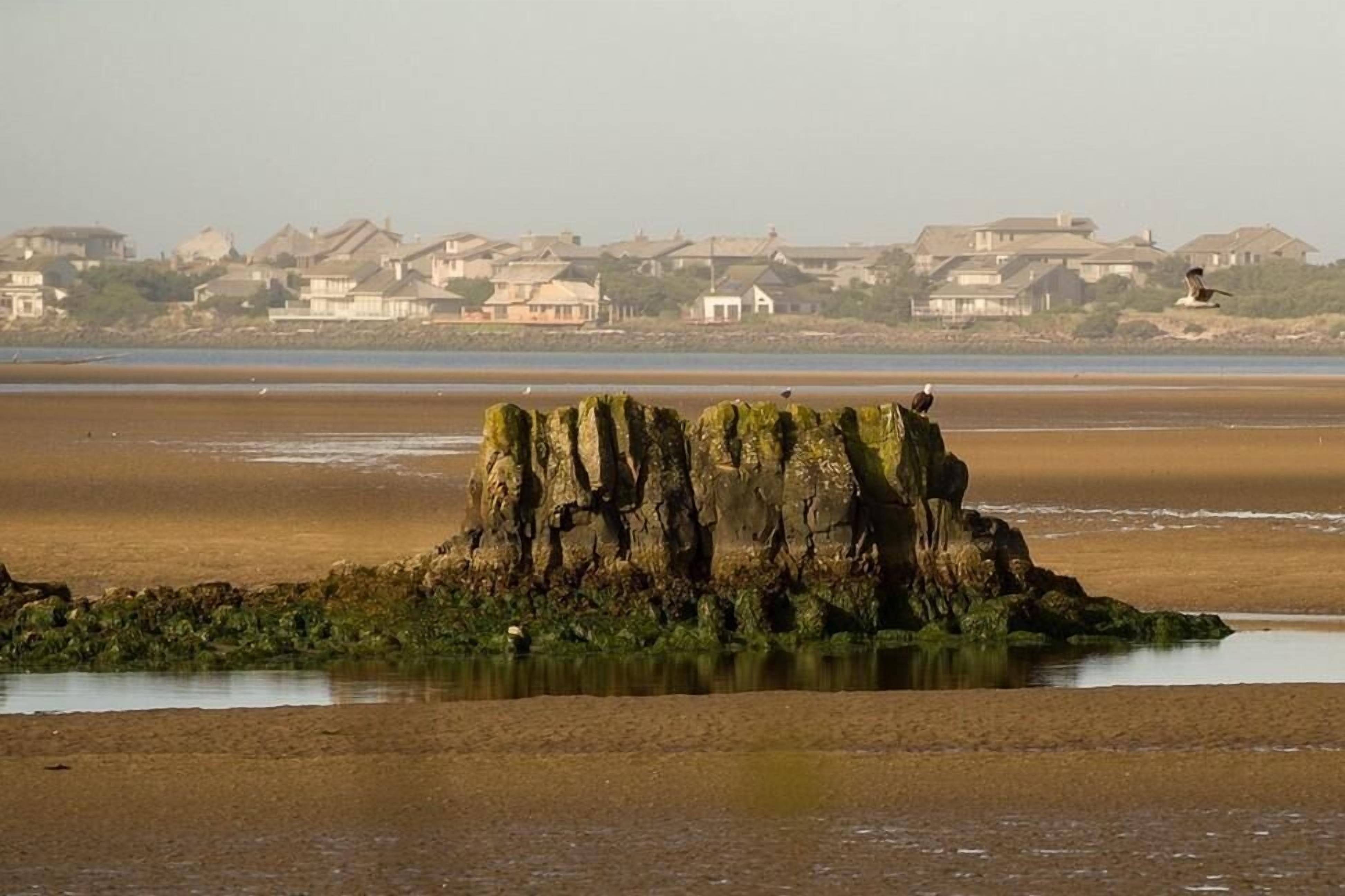 Condo, 1 King Bed with Sofa bed (Waters Edge 104) | Beach | On the beach