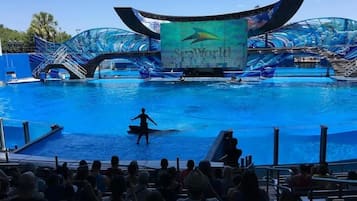 Alberca al aire libre y alberca climatizada