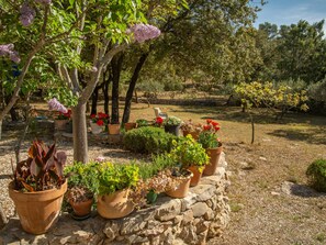 Terrain de l’hébergement 
