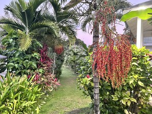 Bahagian luar