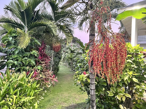 Jamaica Colors Eco-Retreat Hotel and Spa