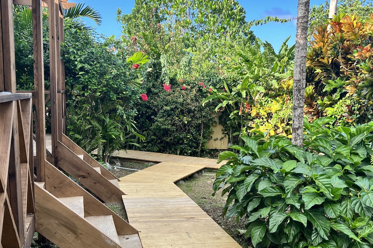 A wooden deck with a curved pathway leading through a lush garden with various plants and trees.