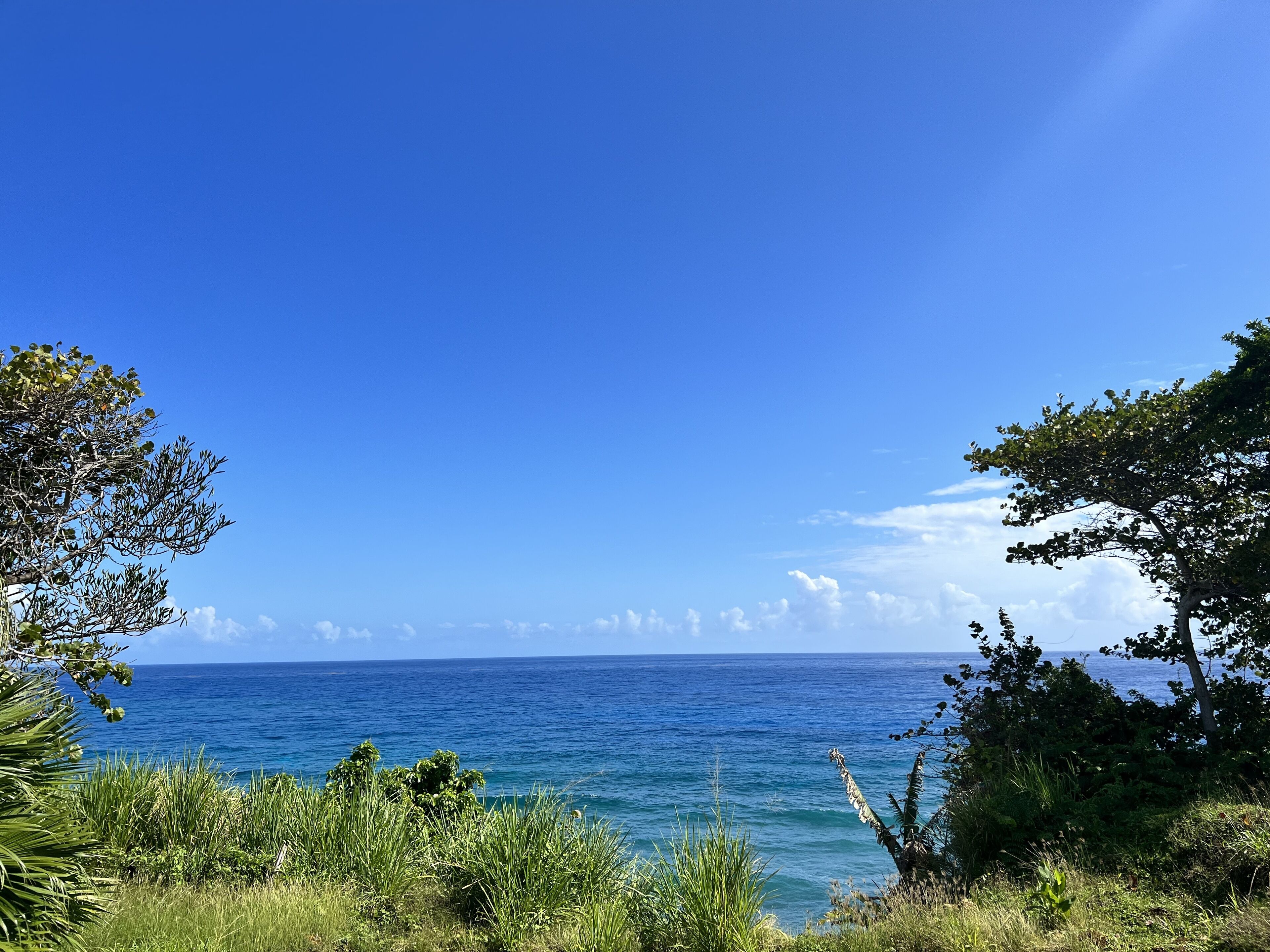 A coastal landscape with a clear view of the ocean and a distant shoreline.