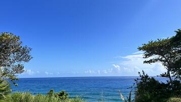 A coastal landscape with a clear view of the ocean and a distant shoreline.