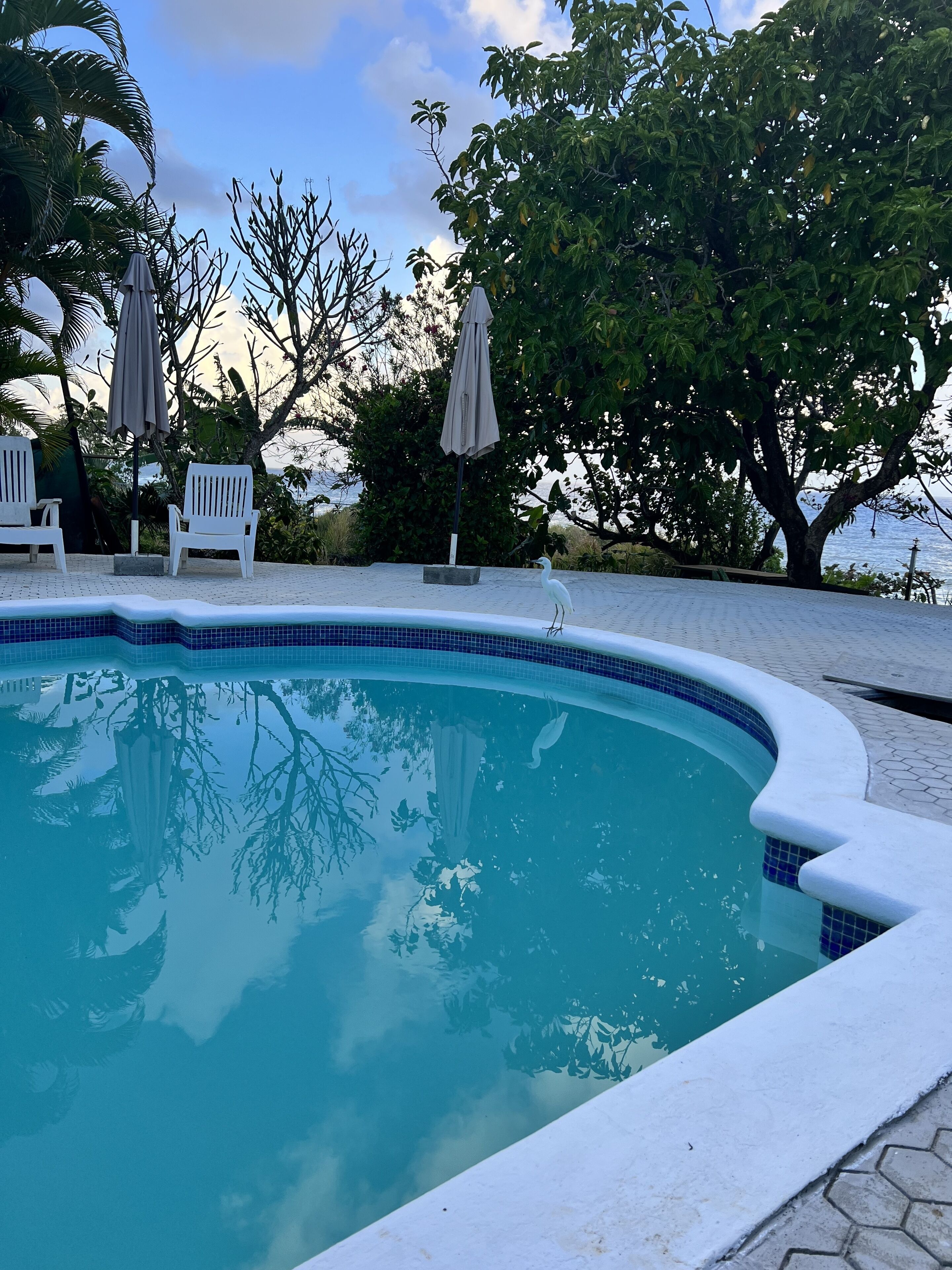 Kolam renang outdoor