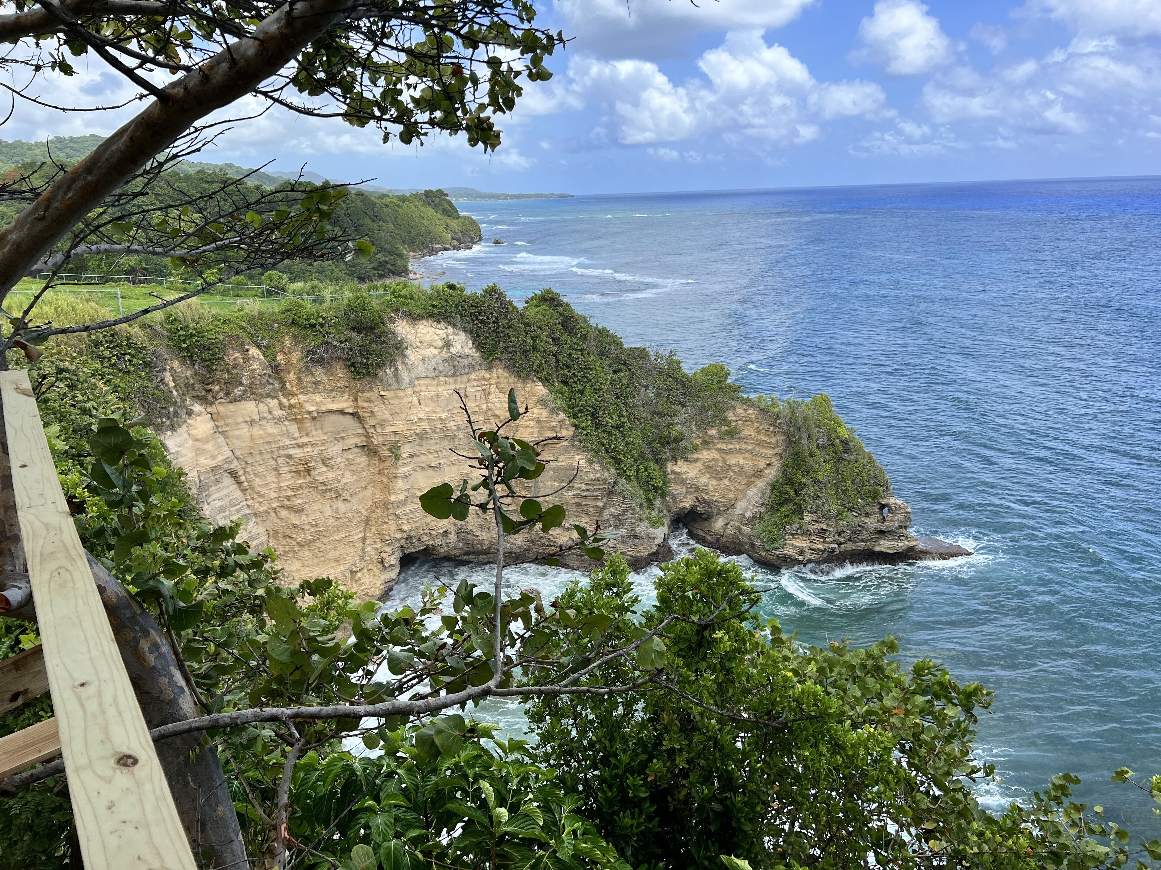 A coastal landscape with cliffs, ocean, and greenery.