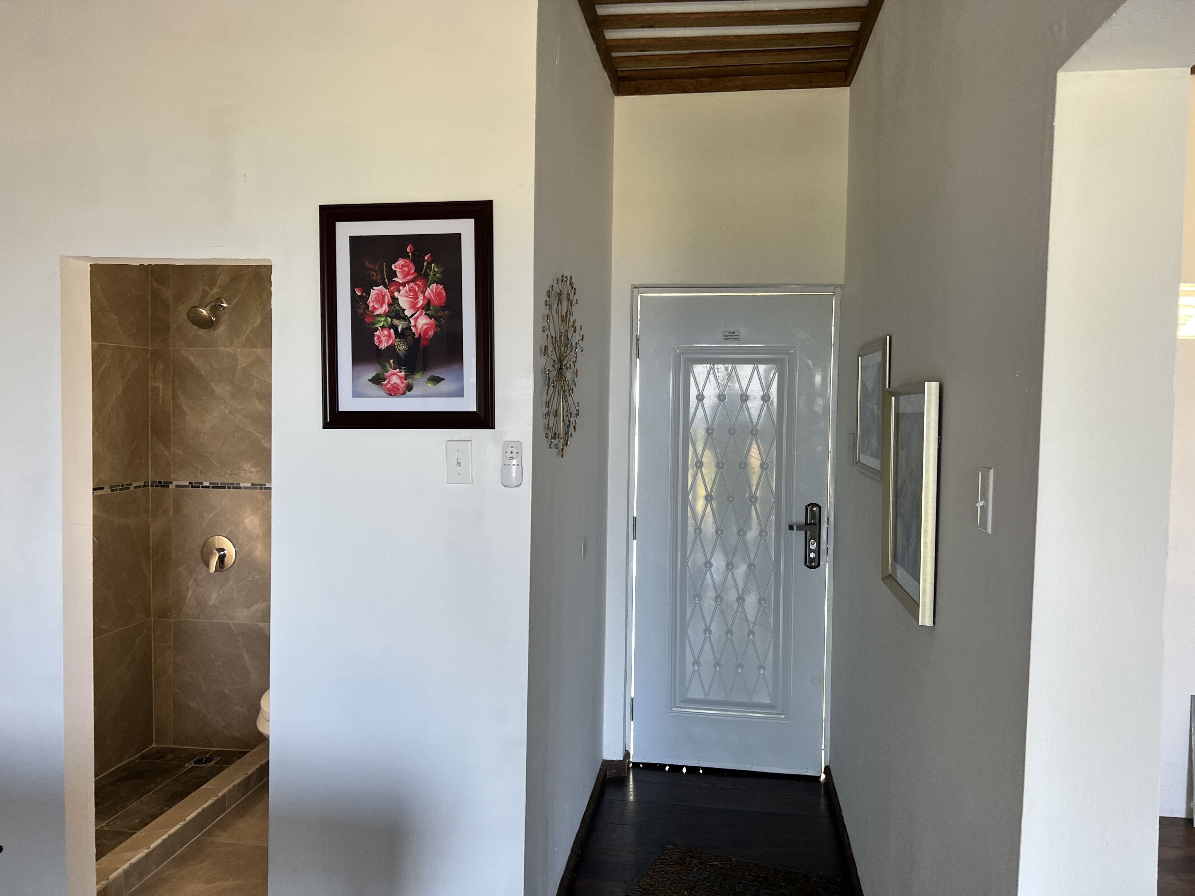 Casa de banho com chuveiro, sanita e um quadro com flores na parede.