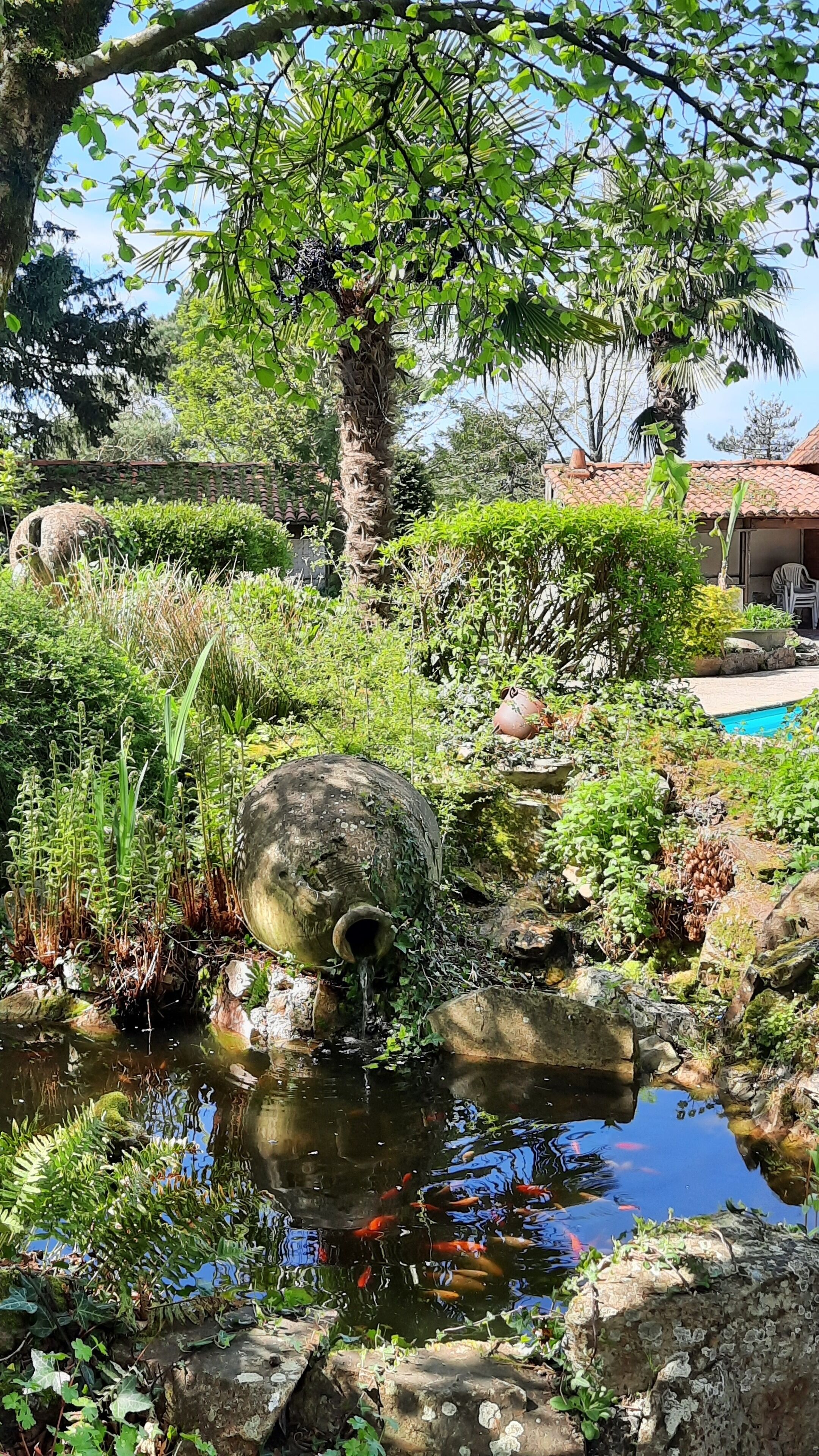 A garden with a pond, rocks, and a tree.