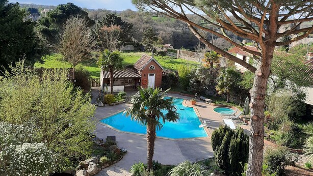 A pool surrounded by a stone pathway, a palm tree, and a rustic building.