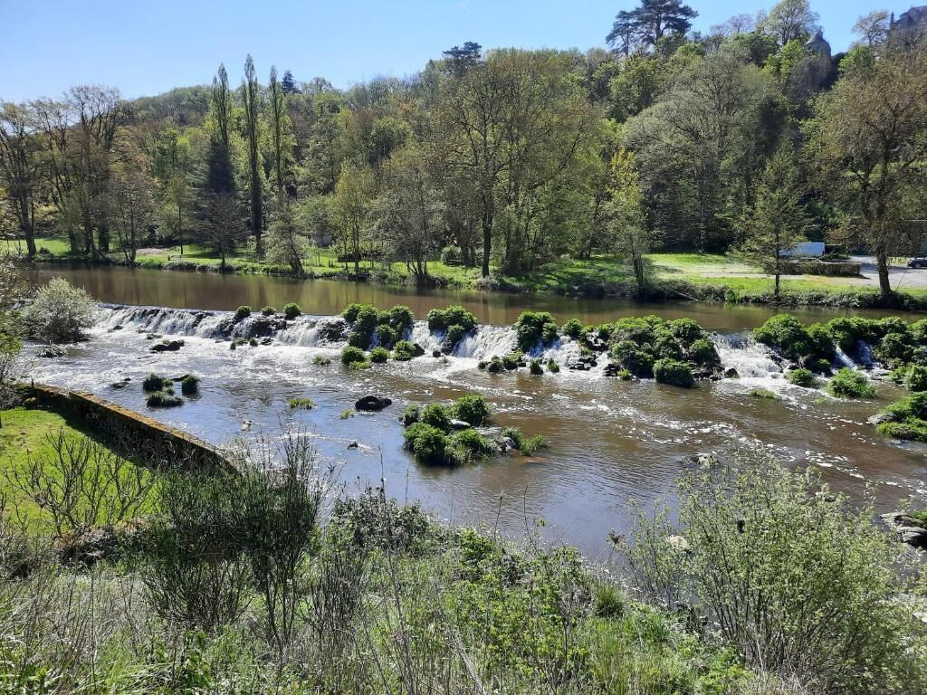 Een rivier met een waterval, omgeven door bomen en begroeiing.