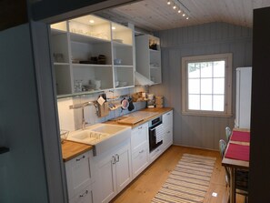 Fridge, oven, stovetop, coffee/tea maker