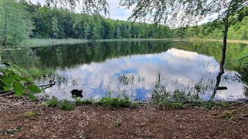 Overnatningsstedets område
