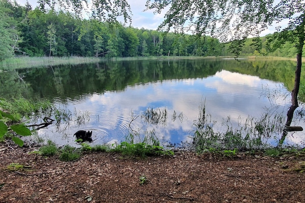 Enceinte de lâhĂ©bergement