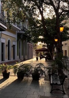 Un camino pavimentado con plantas en macetas, un banco y un edificio con ventanales arqueados.