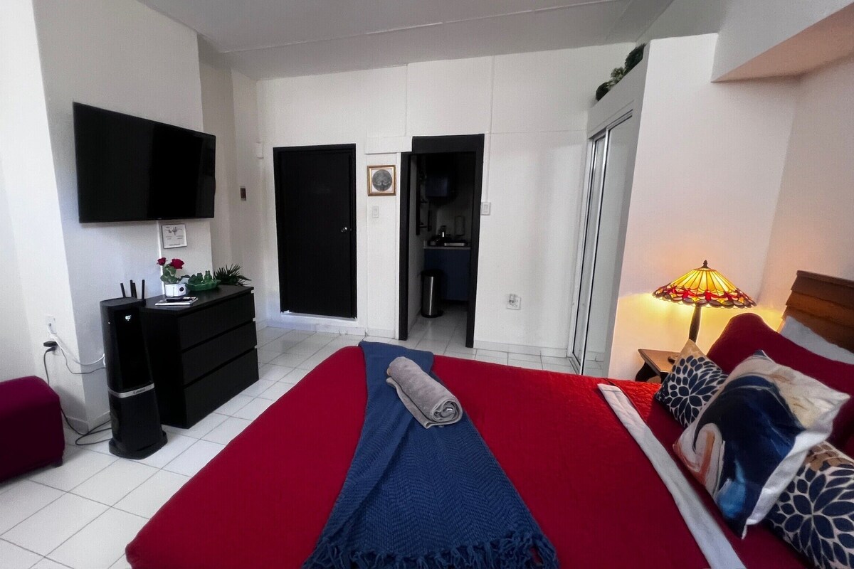 Suite #21 (With Balcony) | Egyptian cotton sheets, premium bedding, down comforters