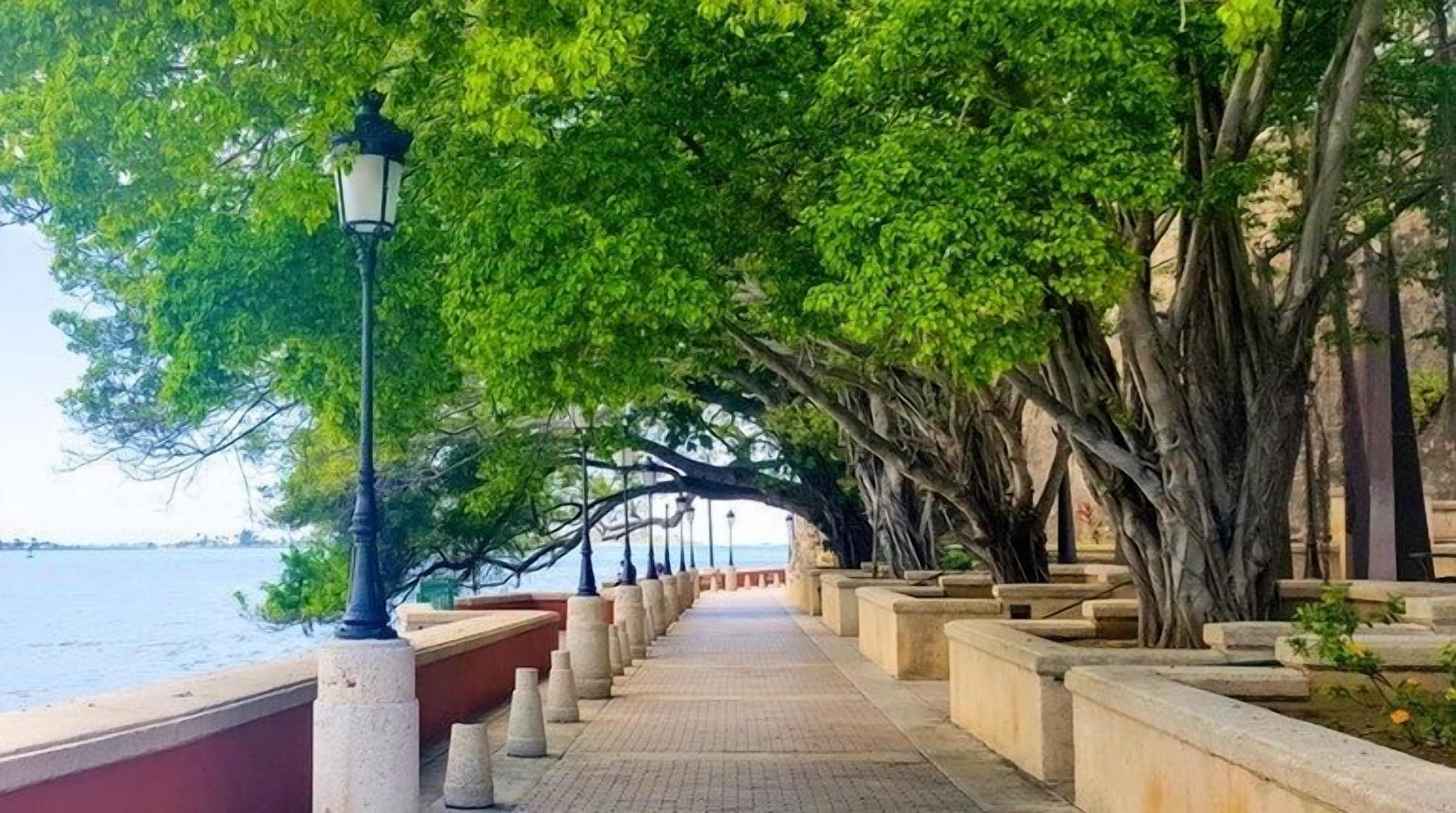 Un paseo marítimo bordeado de árboles y un farol.