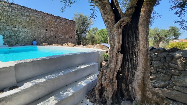 A swimming pool with stone steps leading up to it, surrounded by a stone wall and trees. - Comfort and Serenity in a Typical Alentejo House. (Monte da Pedra)